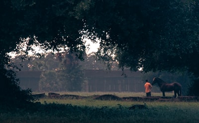 During the day, the wearing orange shirt man sitting in the green grass
